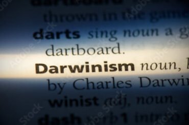 Darwinian theory